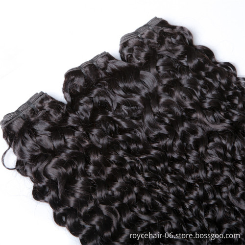 Brazilian Water Wave Virgin Hair Bundle Deals Wet and Wavy Virgin Brazilian Hair Extension 7A Unprocessed Natural Curly Weave